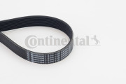 8PK1122 EXTRA ozubený klínový řemen CONTINENTAL CTAM