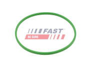 FT48503 Těsnění, palivové čerpadlo FAST