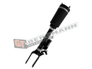 GT25-050 Vzduchova vzpera GT-BERGMANN